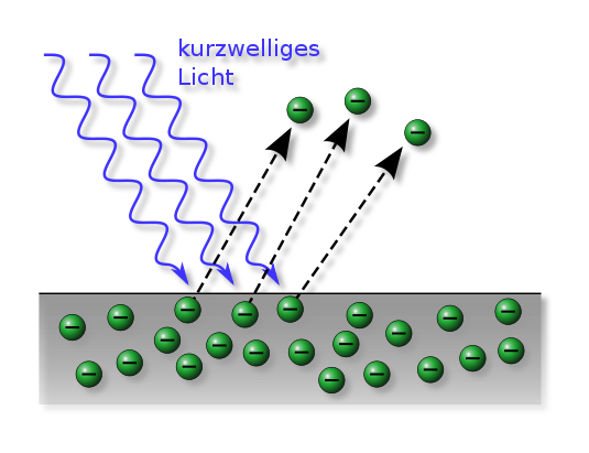 Hallwachs3