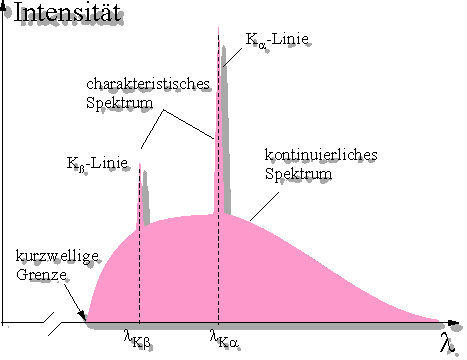 röntgenspektrum